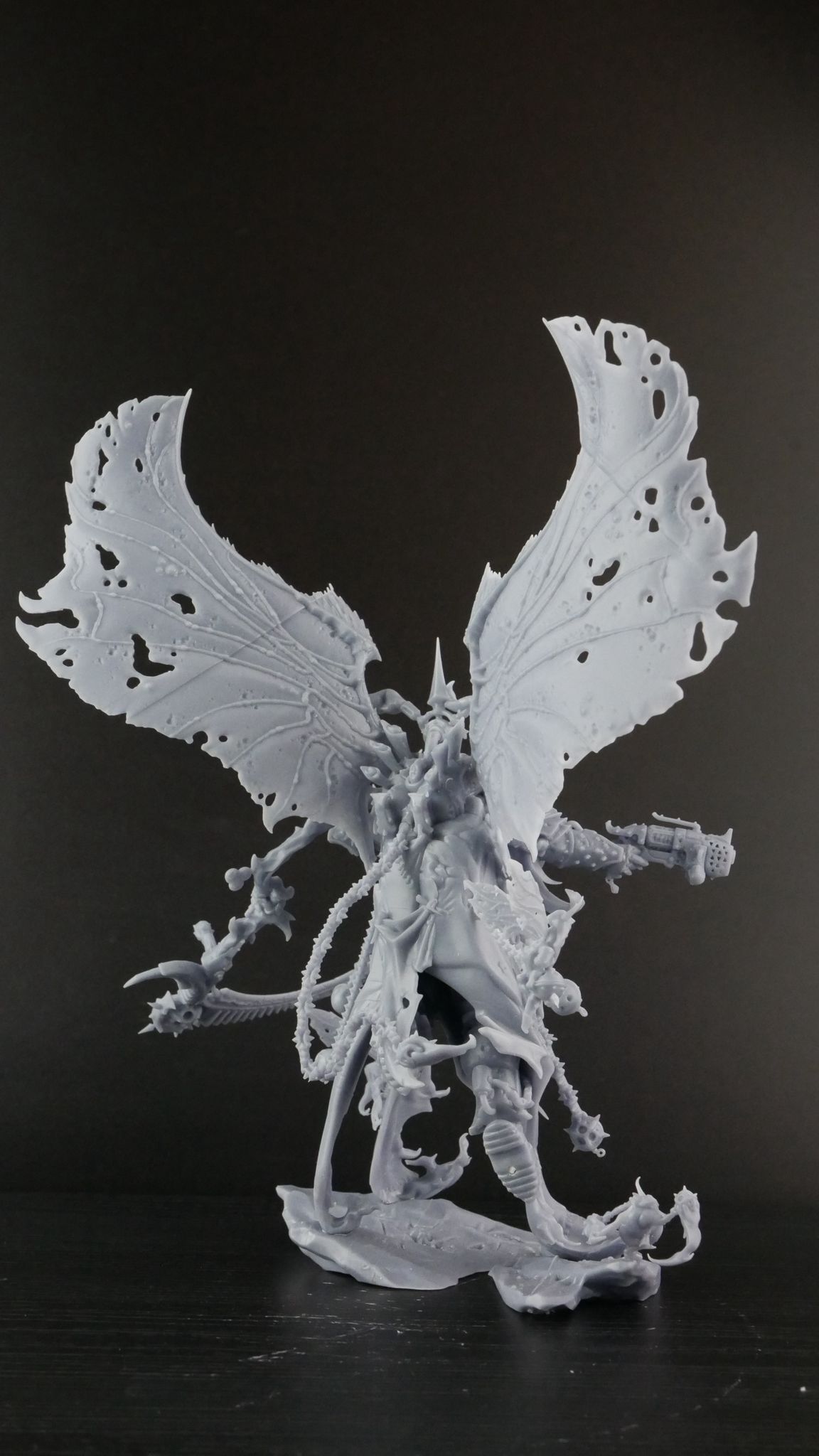 Zdjęcie WhatsApp 2025-09-09 o 11.58.19_249fa458