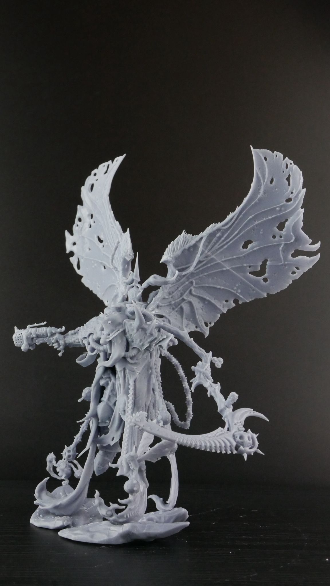 Zdjęcie WhatsApp 2025-09-09 o 11.58.19_8fa9f242